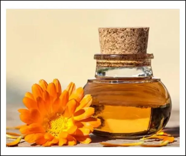 Calendula Oil 50 mls